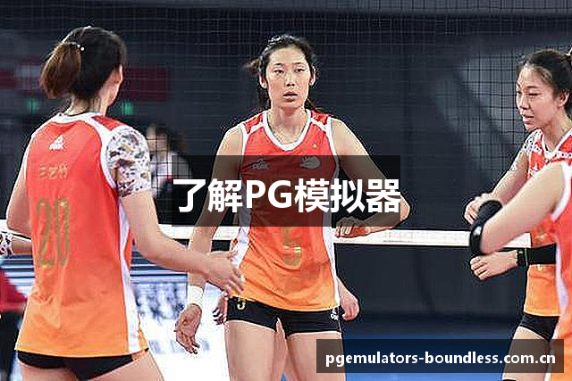 了解PG模拟器